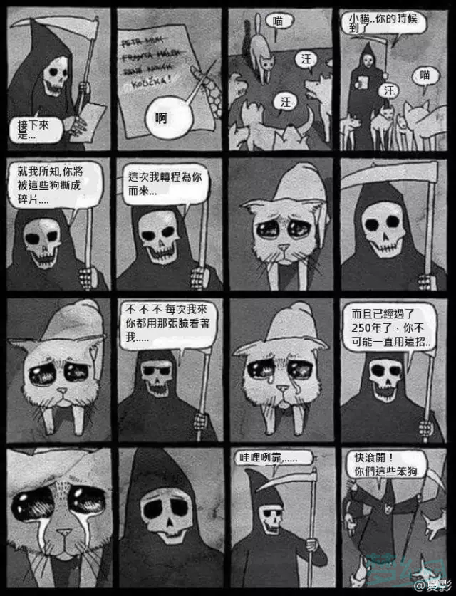 听说猫的九条命是这么来的?